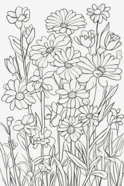 flowers coloring page for kids, touch me not, cartoon style, thick outline, low details, no shading, no color