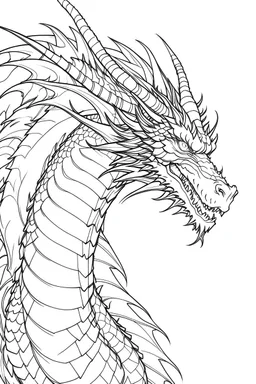 I need a dragon outline ,no shadow only clear outline and backgroun
