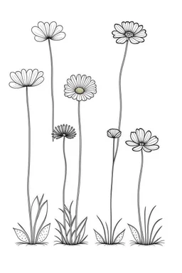 set of growing wind flower on the grace, SIMPLE ONE lineS art, white background, minimalis, different view, only white bakcground solid.