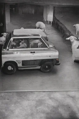 dark low res "cctv footage" old 80s sony camera, of forbidden medical procedures preformed in a "motor garage", with landrovers, surounded by sheep with "Rabies"