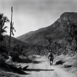 The Treasure of the Sierra Madre. (1948)