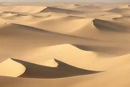 vast desert with sand storm