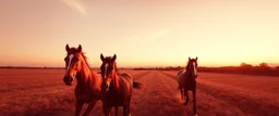 3 horses running towards the viewer, the left side horse veering to the left, the right side horse going to the right. red tones