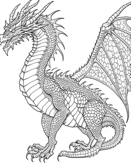 coloring image of full body dragon, line art, realistic, white background