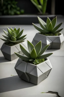 Create an image featuring a set of interconnected mini concrete succulent planters shaped like puzzle pieces, with succulents forming a cohesive design.