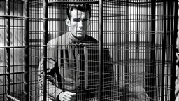 rich prisoner behined cage 50s