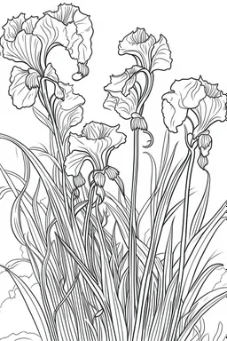 Outline art for coloring page, IRIS FLOWERS WITH STEMS, coloring page, white background, Sketch style, only use outline, clean line art, white background, no shadows, no shading, no color, clear