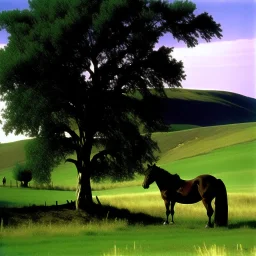 Nebraska 1997 Wild Horse Hill Photo, FNAF Purple guy in the foreground behind a tree.