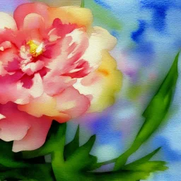 watercolor of a peony, warm colors, water color streaks and splashes, minimalist, in the style of turner, white space