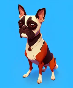 Cute dog, one colour background