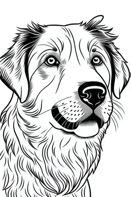 "A black and white line art illustration of a realistic [dog breed] in a coloring book style, with thick outlines defining the fur texture and simple shapes, on a plain white background." Examples: "A black and white line art illustration of a realistic golden retriever in a coloring book style, with thick outlines defining the fur texture and simple shapes, on a plain white background." "A black and white line art illustration of a realistic pug in a coloring book style, with thick outlines de