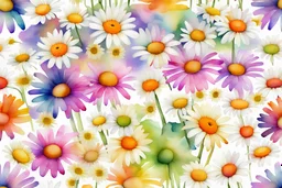 daisy flowers multicolored watercolor seamless pattern
