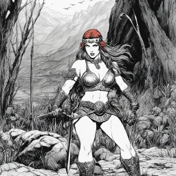 (Art by Brion Gysin) who is Red Sonja?
