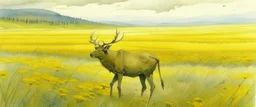 an Elk off-center in a prairie field, canola plants hinted in corners of foreground, realistic fantasy watercolor illustration, Robert Bateman