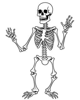 outline art for halloween coloring pages for kids with cartoon cute happy skeleton , white background, Sketch style, full body, only use outline, clean line art, white background, no shadows and clear and well outlined, coloring page for kids,