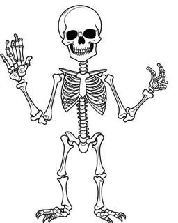 outline art for halloween coloring pages for kids with cartoon cute happy skeleton , white background, Sketch style, full body, only use outline, clean line art, white background, no shadows and clear and well outlined, coloring page for kids, kawaii style