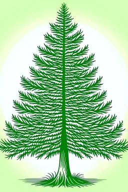 vector image of a spruce tree