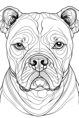 Outline art for coloring page of an american bully, coloring page, white background, Sketch style, eye level, only use outline, clean line art, white background, no shadows, no shading, no color, clear