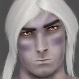 Dark Elf Male White Hair Lavender Eyes