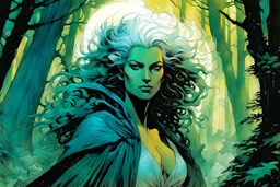 create a wildly conceptual closeup full body print illustration of a feral female mage with highly detailed hair and feminine facial features, in an ethereal, otherworldly ,ancient summer forest , in the comic book art style of Bill Sienkiewicz, Mike Mignola, Sparth, and Jean Giraud Moebius, finely drawn, colored, and inked, suffused with dramatic natural light and shadow of sunset