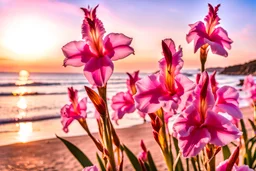 pink or parma gladiolus, blooming tree in the background, seaside, gold light effects colors, highly detailed, high contrast, 8k, high definition, realistic, concept art, sharp focus