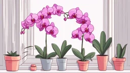 Cartoon orchid by the window painting