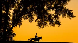 Silhouette of a lone horseback rider on the green hill at sunrise