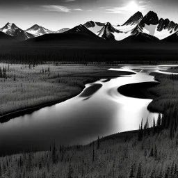 Ansel adams monochrome Photo of muskeg in alaska, hyper realistic, zone system, even tones, rich gradients, dramatic lighting