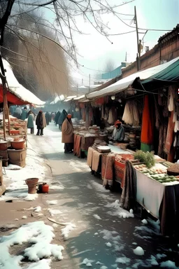 roadway market, India, cold weather, snow, lomography