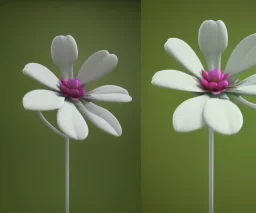 Flower 3d rendering