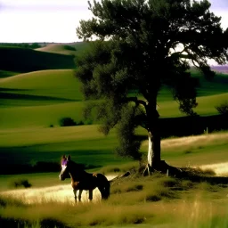 Nebraska 1997 Wild Horse Hill Photo, FNAF Purple guy in the foreground behind a tree.