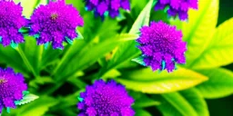 realistic, colorful, epic, ray tracing, cinematic, 8k, HD, Ultra High Definition, photo film, film grain, high quality ultra detailed vibrant colorful iridescent exotic weed plant