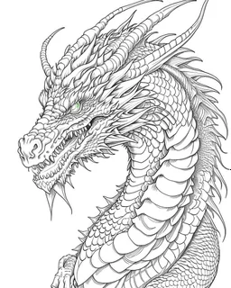 coloring image of dragon, line art, realistic, white background