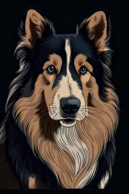 Retrato de un perro, raza broder collie al estilo minimalista