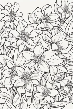 flowers coloring page for kids, jasmine, cartoon style, thick outline, low details, no shading, no color