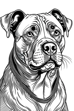 pitbull dog coloring book page