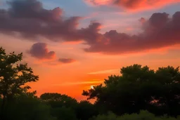 Peach sunset with clouds, and trees
