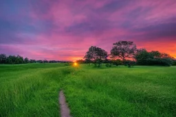 Sunset, grass, pathway