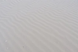 wavy rippled beach sand, lighter in top left, dark in bottom right