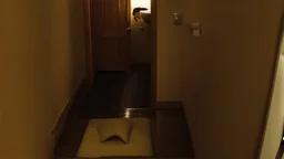 man urinates on the floor in his hotel room