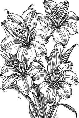 Outline art for coloring page, LILIES WITH STEMS, coloring page, white background, Sketch style, only use outline, clean line art, white background, no shadows, no shading, no color, clear