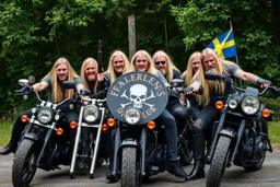 a very hard and tuff motorcycle young gang with long blond Sweden viking hair, not old, posing with their Harley Davidsson bikes, some of them holding guns and shotguns, a logo sign with Falköpings HD Club, "Fearless sinners" Skulls and bones, skeletons and fire, Sweden vikings DEMONS, Swedish flags on bikes