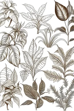 dibujo a mano alzada de plantas tropicales