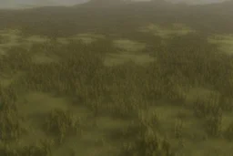 fields and forest and grassy flatlands