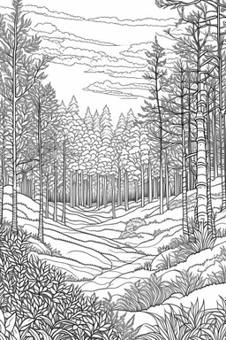 outline art for landscapes coloring pages for adults with forest in winter, white background, Sketch styl, only use outline. Mandala style, clean line art, no shadows and clear and well outlined, Intricate Patterns and Details