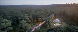 top view that warm, a huge library in forest with fireflies around trees that have wide leaves and broad trunked at night with moonlight.