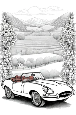 outline art for an adults coloring page, Vintage Jaguar E-Type Parked at a Vineyard , white background,detailed sketch style,no color , only use outline, clean art , white background, no shadows and clear well outlined,