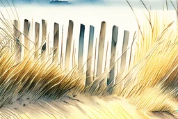 watercolor and pen illustration, loose brush strokes, stylish landscape, close up of weathered broken wooden fence with vertical slats on a sand dune, Maine beach on a sunny sunrise in the spring, wavy fescue beach grass, style of Ansel Adams, complex contrast, dynamic diagonal composition, muted colors, moody, nostalgic