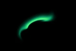 graphic shape of the aurora borealis with slight resemblance to a bird of prey in flight. smooth vector on black