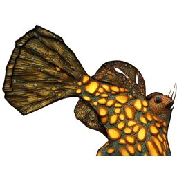 Mandarin Fish Installation, Same Color Family, 3d Textures